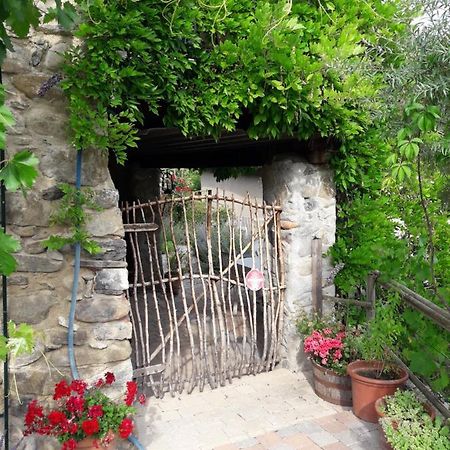 Maison Aux Lavandes The Studio Vaumeilh المظهر الخارجي الصورة